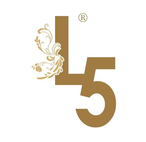 公司经营范围解析 以韩朋飞公司为例